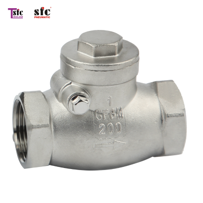 Swing check valves Stainless