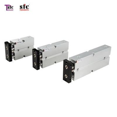 TWIN-ROD CYLINDER SERIES TN